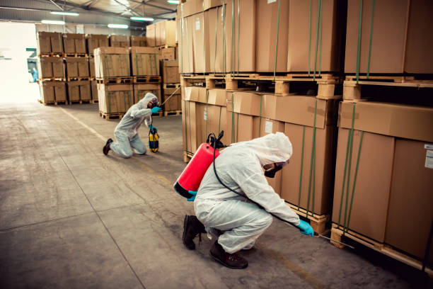 Flea Control Services in Southgate, KY