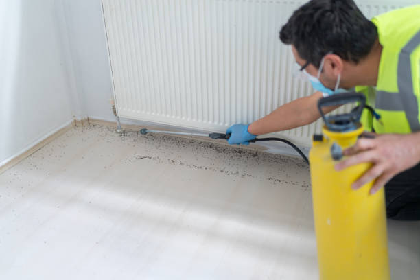 Best Pest Control for Businesses  in Southgate, KY